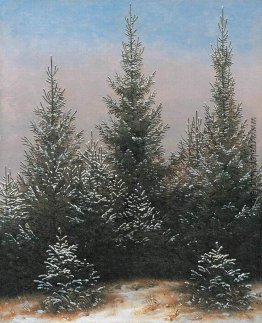 Tannenbäume im Schnee
