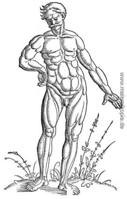 Muscle Man Standing