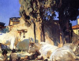 Oxen Resting