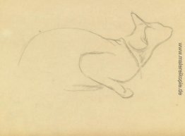 Study of a cat