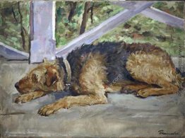 Airedale auf dem Balkon