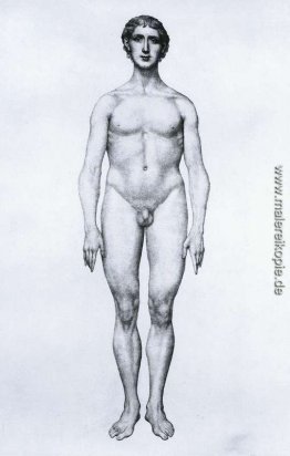 Studium der menschlichen Figur, Ansicht von vorne, von "einem Ve