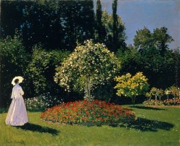 Jeanne-Gänseblümchen Lecadre im Garten