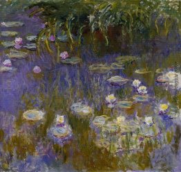 Water Lilies, gelb und lila