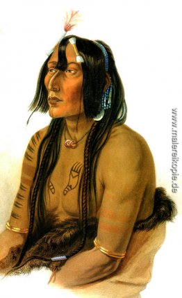 Psihdja Sahpa, Yanktonian Indian