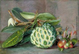 Cherimoya, Einheimische 'Stachelbeere' von Sarawak und Blatt Loc