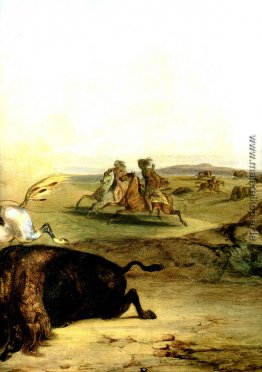Inder-Jagd Die Bison [Rechts]