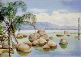 Palmen und Felsbrocken in der Bucht von Rio, Brasilien