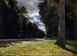 Der Pave de Chailly in Fontainbleau Wald