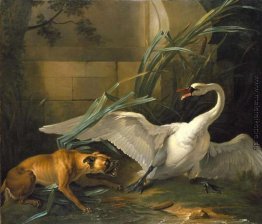 Swan von einem Hund angegriffen