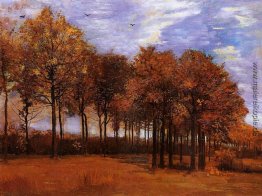 Herbst-Landschaft