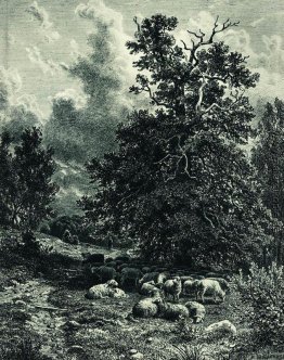 Herde von Schafen am Waldrand