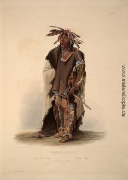 Wahk-Ta-Ge-Li, ein Sioux-Krieger, Platte 8 von Band 2 der "Reise