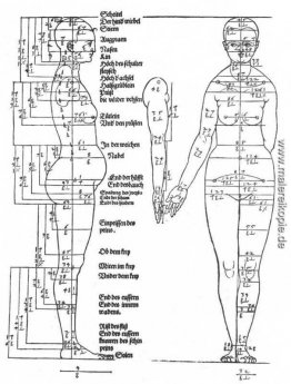Studien zu den Proportionen des weiblichen Körpers
