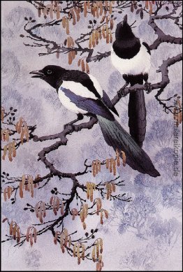 Magpies