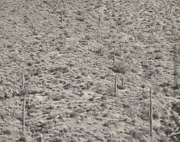 Arizona Landschaft, 1945 (Silbergelatine Fotografie)