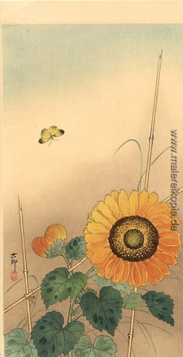 Kleiner Schmetterling und Sonnenblumen