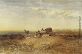 Deer in einer Landschaft