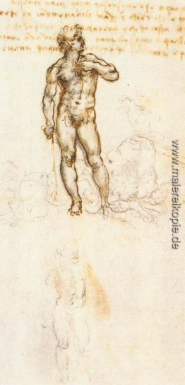 Studium der David von Michelangelo