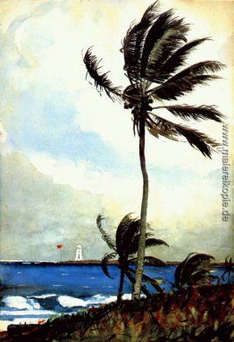 Palme, Nassau