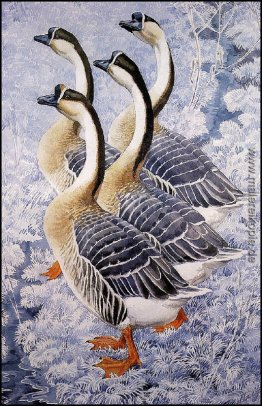 Chinese Geese