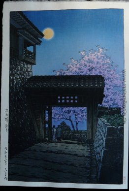 Vollmond und Kirschblüte bei Matsuyama Castle