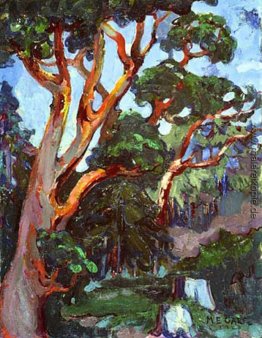 Arbutus Baum