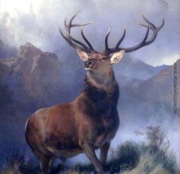 Der Monarch of the Glen