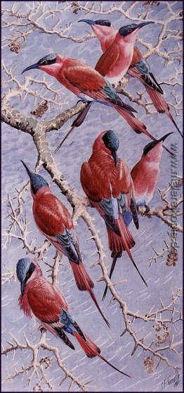 Carmine Bee Eaters