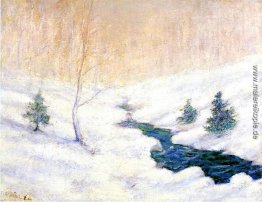 Waldstrom in einer Winterlandschaft