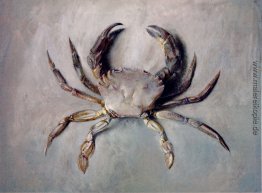 Velvet Crab