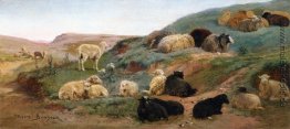 Sheep in einer Gebirgslandschaft