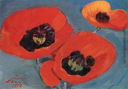 Poppies