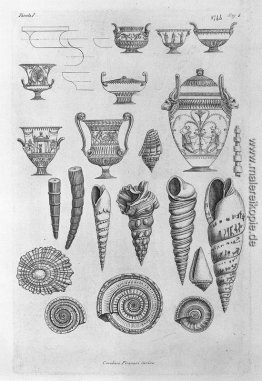 Andere Muscheln und griechischen Vasen geätzt Umriss