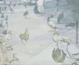 Pigeons