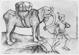 Der Elefant und sein Trainer