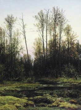 Wald im Frühjahr