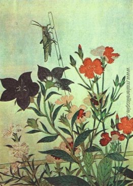 Reis Locust Red Dragonfly Pinks chinesische Bell-Blumen