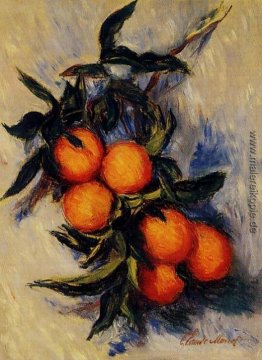 Zweig der orange Bearing Fruit