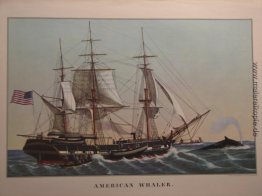 Amerikanischer Whaler