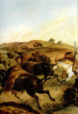 Indianer Jagd Der Bison [Links]