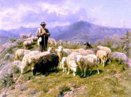 Shepherd der Pyrenäen