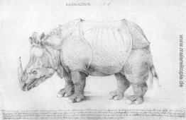 Nashorn