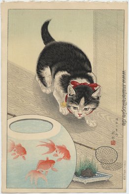 Katze und Schüssel Goldfish