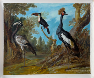 Demoiselle-Kran, Toucan und Tufted Crane